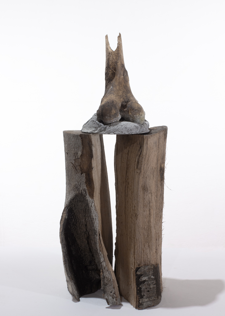 Sculpture - fémur d'orignal moulé dans du béton.