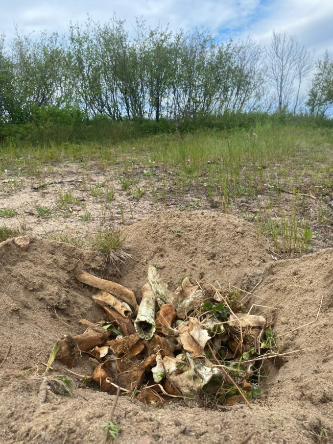 Ossements entassés dans une fosse de sable.
