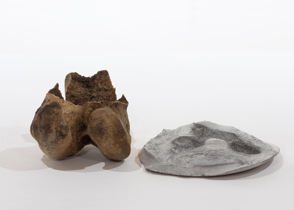 Sculpture - Ossement d'orignal moulé dans du béton.