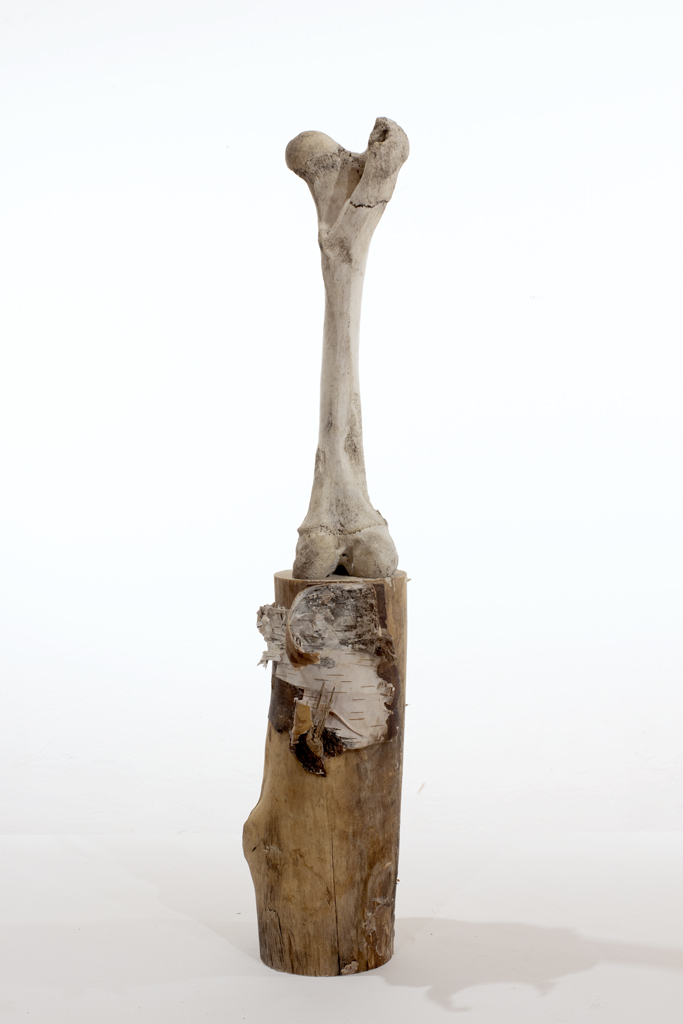 Sculpture - fémur d'orignal ajusté au bout d'une bûche de bouleau.